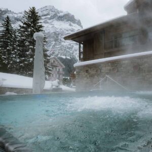 Nerūdijančio plieno baseinai Lietuvoje pagal individualų užsakymą