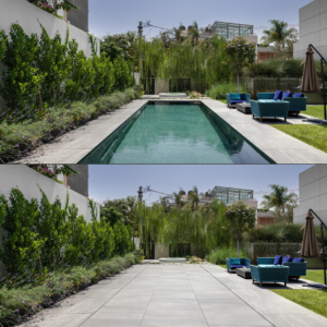 imaginox pakeliami baseino dugnai