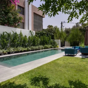 imaginox pakeliami baseino dugnai