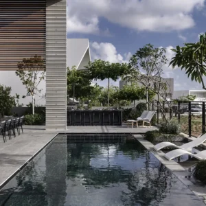 imaginox pakeliami baseino dugnai