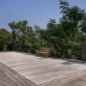 imaginox pakeliami baseino dugnai